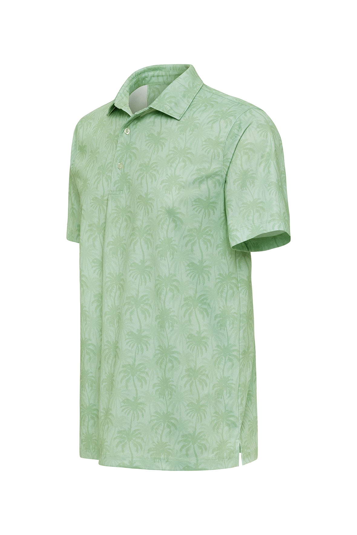 Palm Green