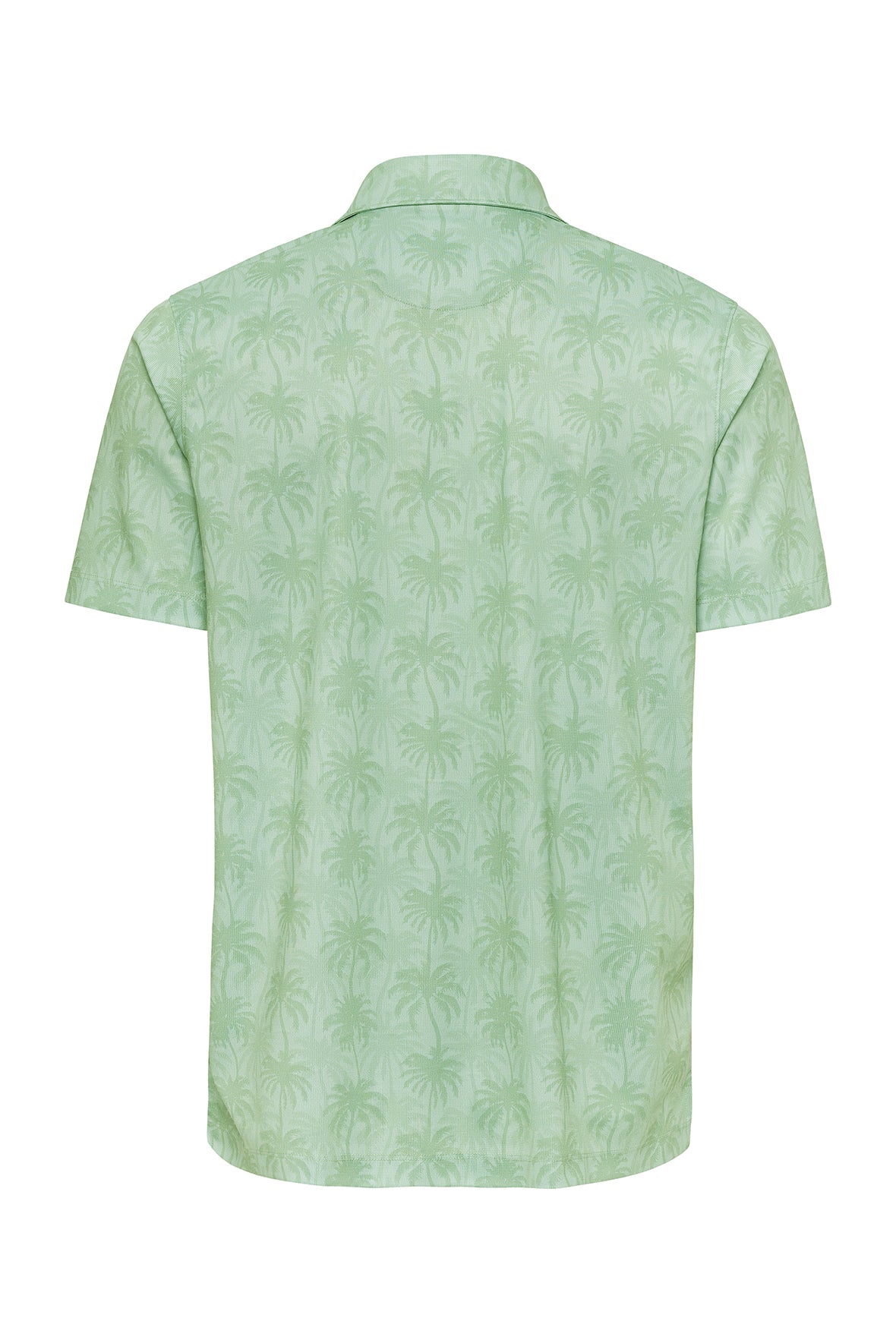 Palm Green